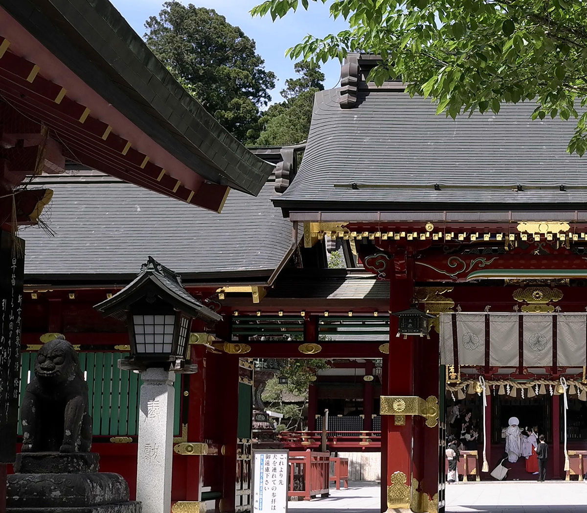 Japanese Wedding | Tantallon Capital